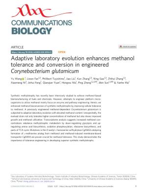 Adaptive Laboratory Evolution Enhances Methanol Tolerance and Conversion in Engineered Corynebacterium Glutamicum