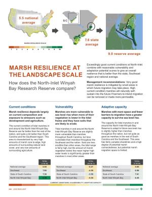 Marsh Resilience Study