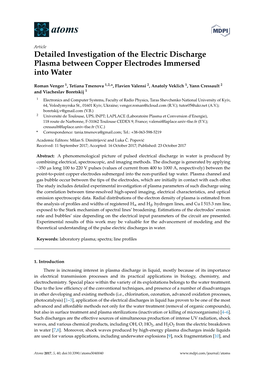 Detailed Investigation of the Electric Discharge Plasma Between Copper Electrodes Immersed Into Water