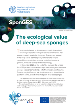 The Ecological Value of Deep-Sea Sponges