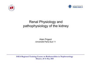 Renal Physiology and Pathophysiology of the Kidney