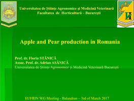 Apple and Pear Production in Romania