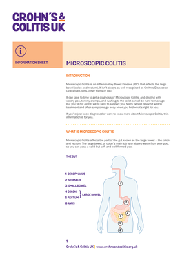 Microscopic Colitis (PDF)