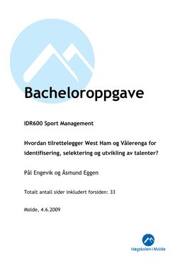 Bacheloroppgave