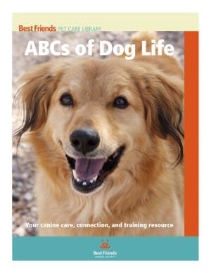 Abcs of Dog Life