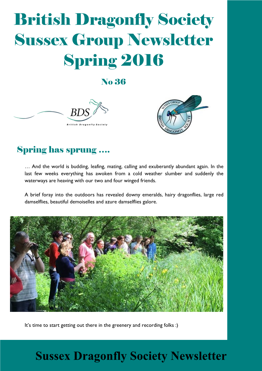 Sussex Dragonfly Society Newsletter