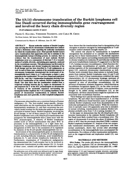 Chromosome Translocation of the Burkitt Lymphoma Cell And