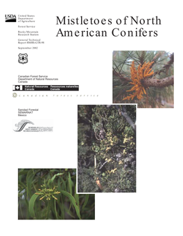 Mistletoes of North American Conifers