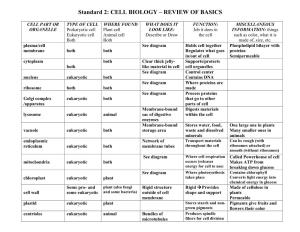 Standard 2: CELL BIOLOGY – REVIEW of BASICS