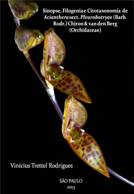 Revisão De Acianthera Sect. Pleurobotryae (Barb. Rodr.) Chiron & Van Den Berg (Orchidaceae)
