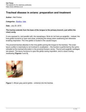 Tracheal Disease in Avians: Preparation and Treatment