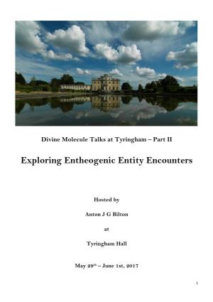 Exploring Entheogenic Entity Encounters