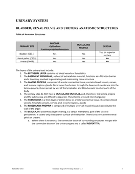 Urinary System: Summary Stage 2018 Coding Manual V2.0