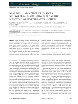 (INSECTA: NEUROPTERA: MANTISPIDAE) from the MESOZOIC of NORTH-EASTERN CHINA by JAMES E