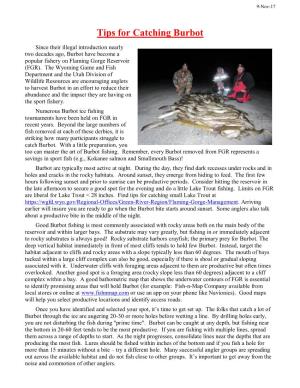 Tips for Catching Burbot