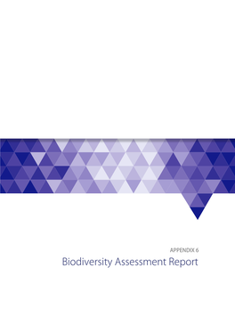 Biodiversity Assessment Report FINAL