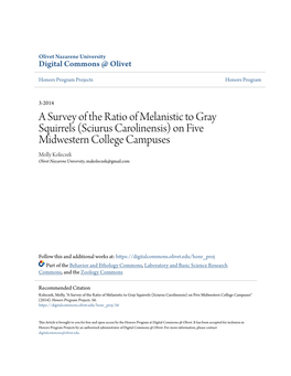 A Survey of the Ratio of Melanistic to Gray Squirrels (Sciurus Carolinensis)