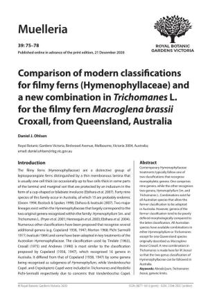 Hymenophyllaceae) and a New Combination in Trichomanes L