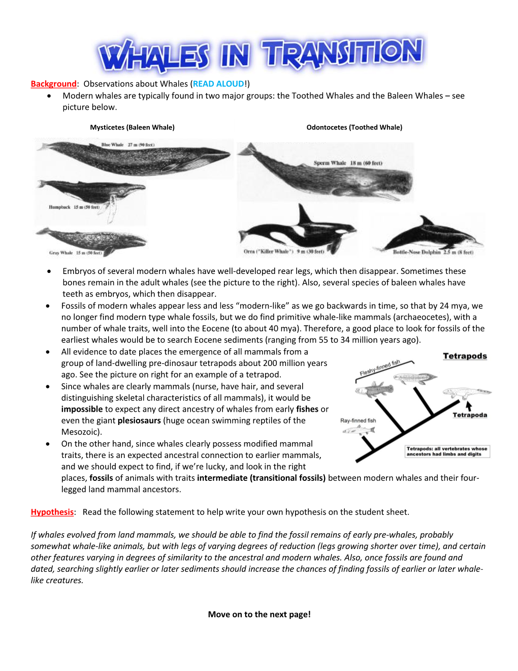 Background: Observations About Whales (READ ALOUD!) • Modern