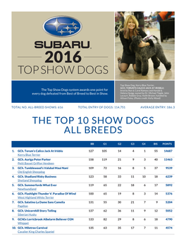 Top Show Dogs