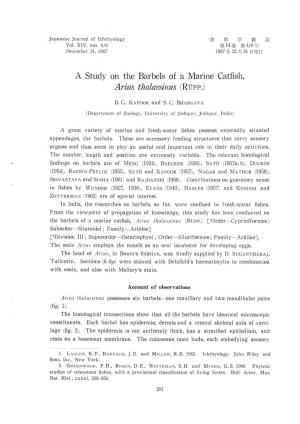 A Study on the Barbels of a Marine Catfish, Arius Thalassinus (RÜPP.)