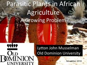 Parasitic Plants in African Agriculture a Growing Problem