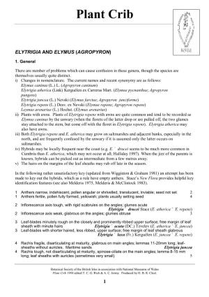 Elytrigia and Elymus (Agropyron)
