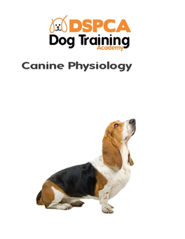 Canine Physiology