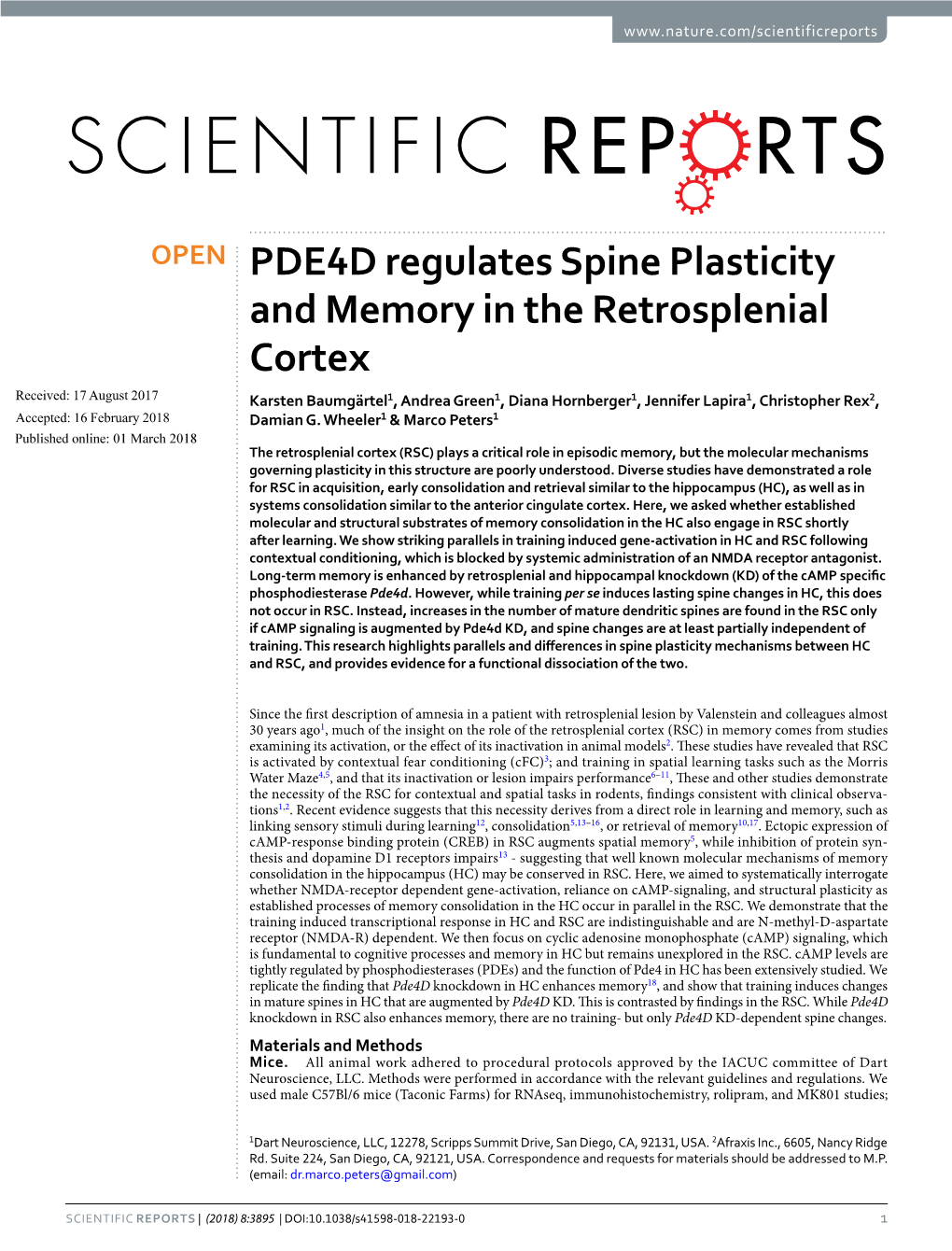 PDE4D Regulates Spine Plasticity and Memory in the Retrosplenial Cortex
