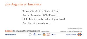 To See a World in a Grain of Sand and a Heaven in a Wild Flower, Hold Infinity in the Palm of Your Hand and Eternity in an Hour