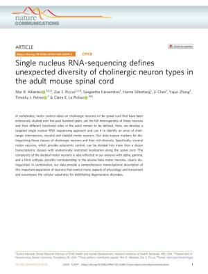 Single Nucleus RNA-Sequencing Defines Unexpected Diversity Of