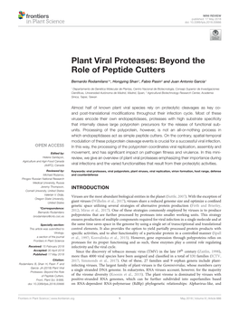 Plant Viral Proteases: Beyond the Role of Peptide Cutters