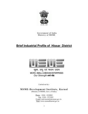 Brief Industrial Potential Report of Dist