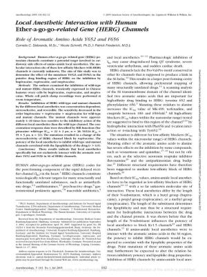 HERG) Channels Role of Aromatic Amino Acids Y652 and F656 Cornelia C