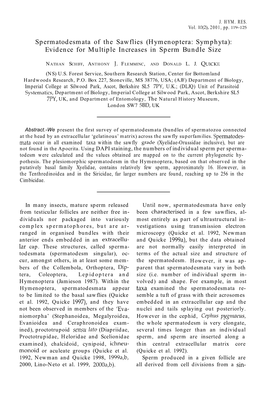 Hymenoptera: Symphyta): Evidence for Multiple Increases in Sperm Bundle Size