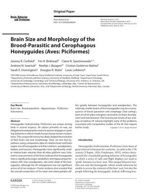 Brain Size and Morphology of the Brood-Parasitic and Cerophagous Honeyguides (Aves: Piciformes)