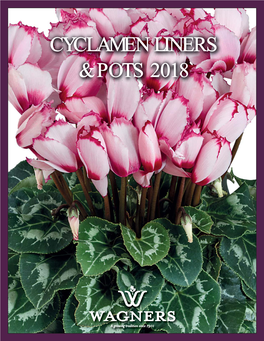 Cyclamen Liners & Pots 2018