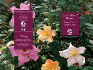 Earth-Kind® Roses Summer and Fall