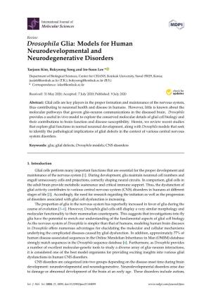 Drosophila Glia: Models for Human Neurodevelopmental and Neurodegenerative Disorders
