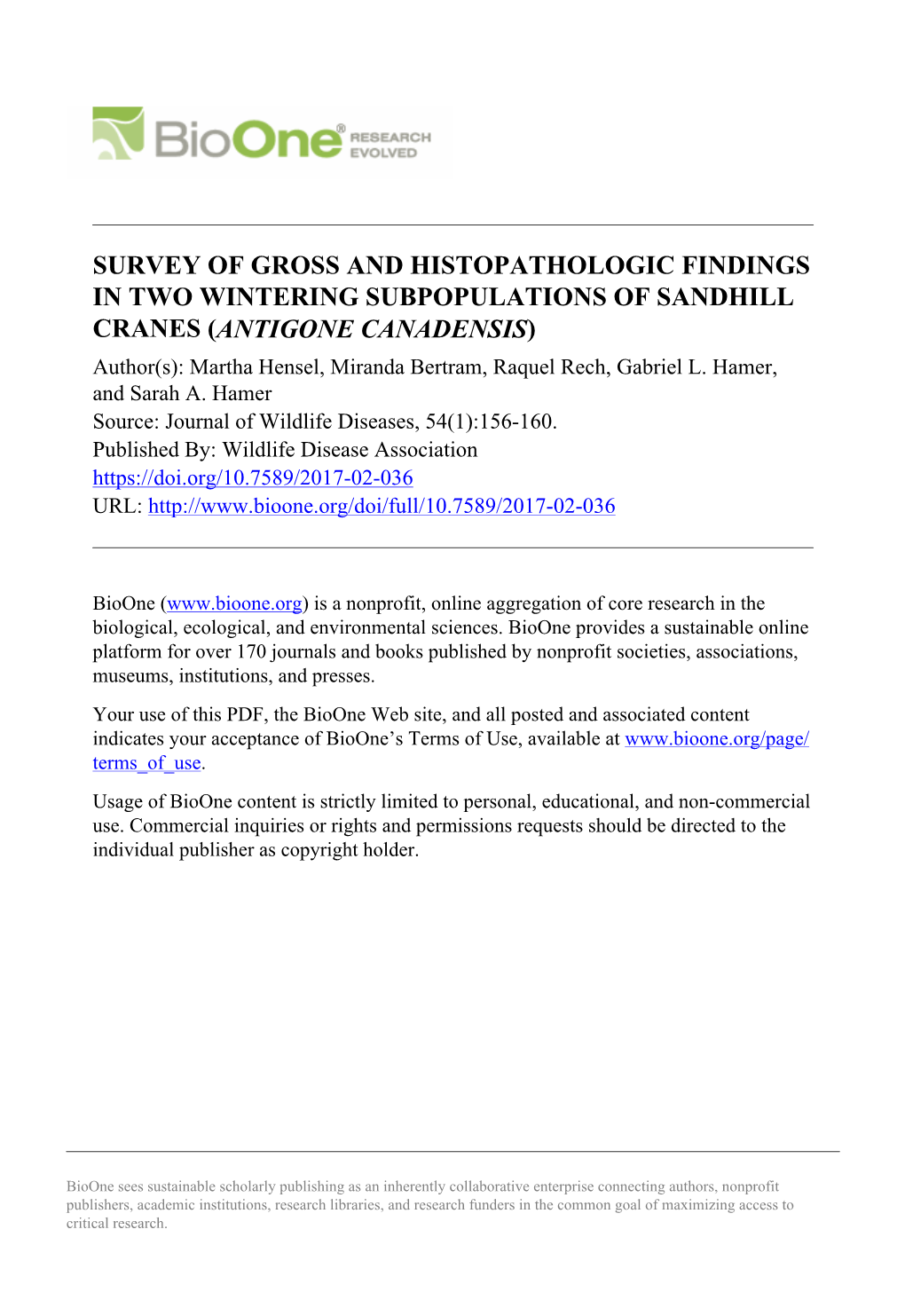 Survey of Gross and Histopathologic Findings In