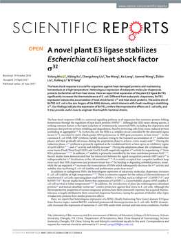 A Novel Plant E3 Ligase Stabilizes Escherichia Coli Heat Shock Factor