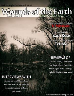 Woundsissue1.Pdf Download
