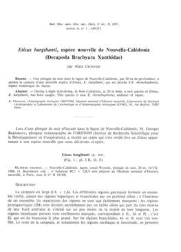 Etisus Bargibanti, Espèce Nouvelle De Nouvelle-Calédonie (Decapoda Brachyura Xanthidae)