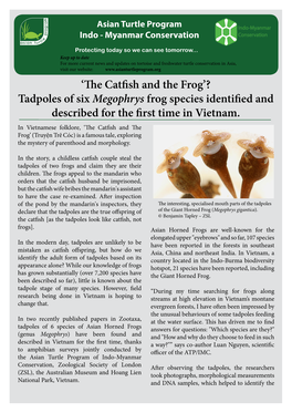 Tadpoles of Six Megophrys Frog Species Identified and Described for the First Time in Vietnam
