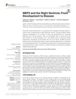 MEF2 and the Right Ventricle: from Development to Disease