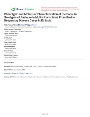 Phenotypic and Molecular Characterization of the Capsular Serotypes of Pasteurella Multocida Isolates from Bovine Respiratory Disease Cases in Ethiopia