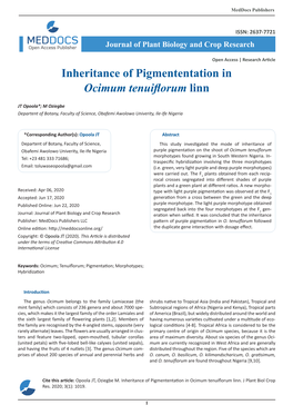 Inheritance of Pigmententation in Ocimum Tenuiflorum Linn