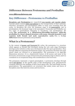Difference Between Protenema and Prothallus