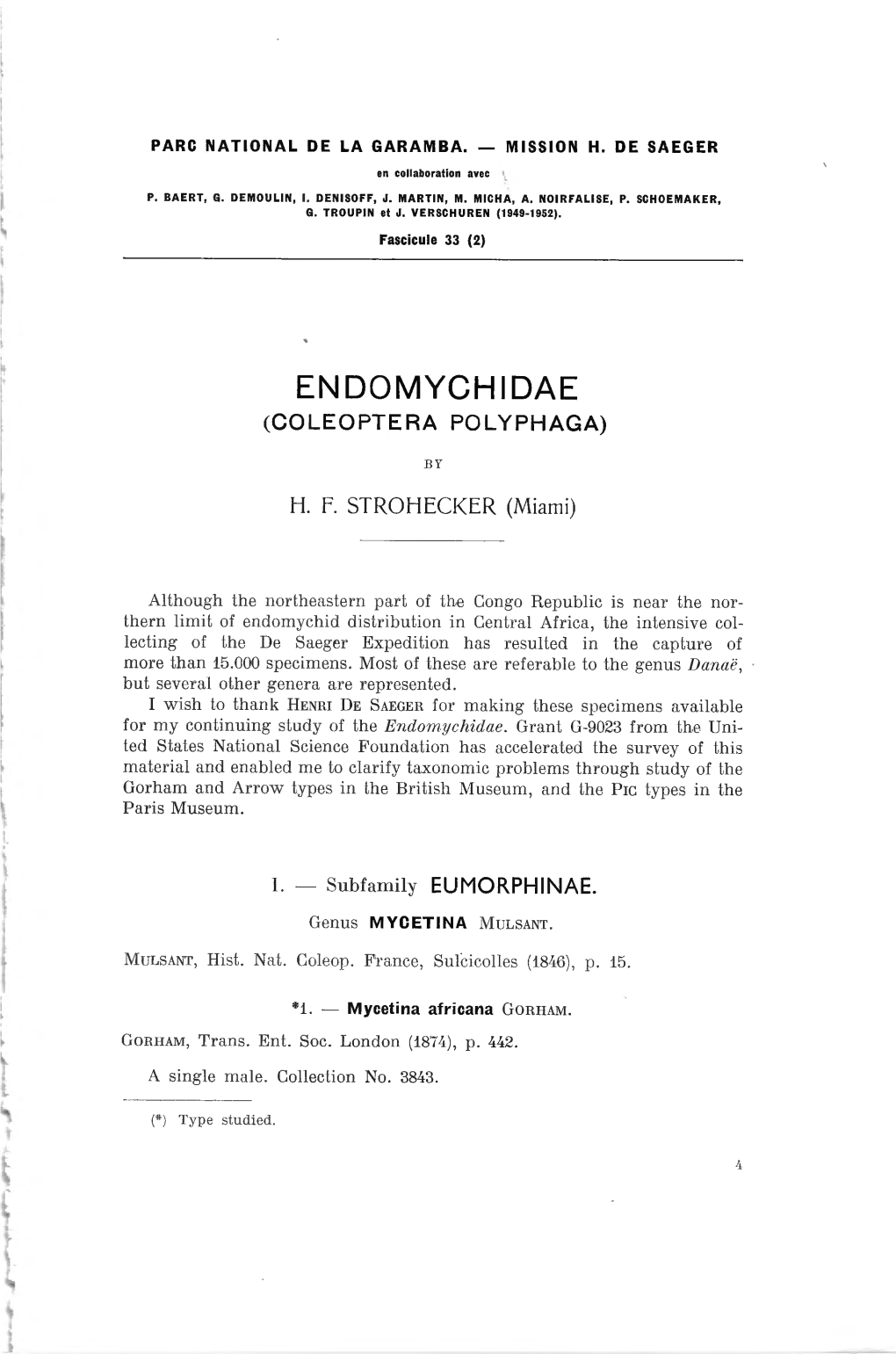 Endomychidae (Coleoptera Polyphaga)