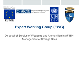 Expert Working Group (EWG)